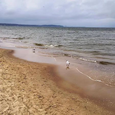 Appartamento Przystan Letnica Klimatyzacja Garaz Plaza Brzezno 5min