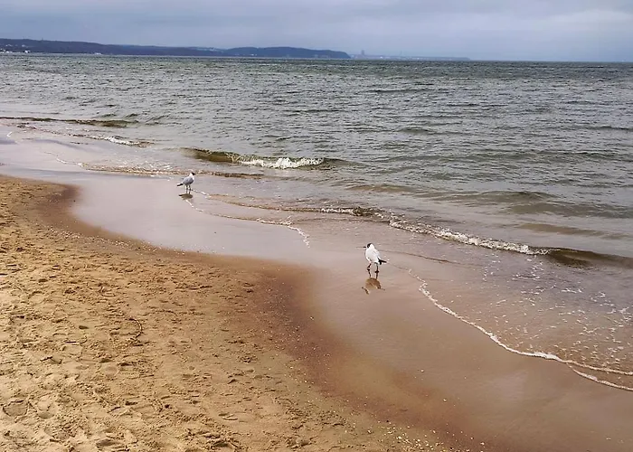 아파트 Przystan Letnica Klimatyzacja Garaz Plaza Brzezno 5min