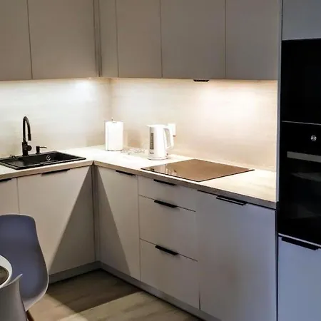 Przystan Letnica Klimatyzacja Garaz Plaza Brzezno 5min * غدانسك